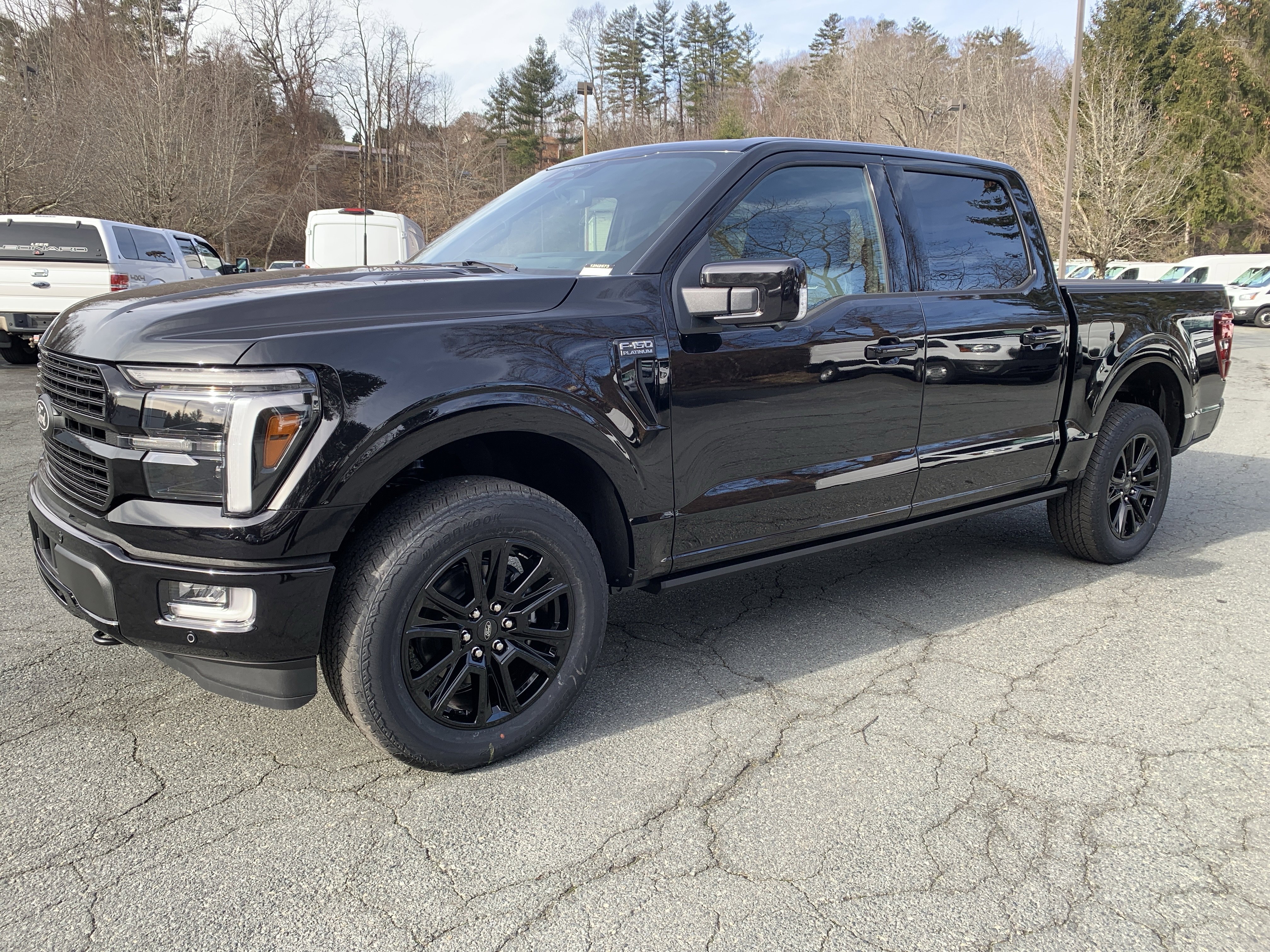 2025 Ford F-150 Platinum's photo