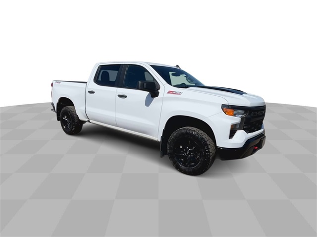 Used 2022 Chevrolet Silverado 1500 Custom Trail Boss with VIN 3GCPDCED5NG630406 for sale in Apple Valley, Minnesota
