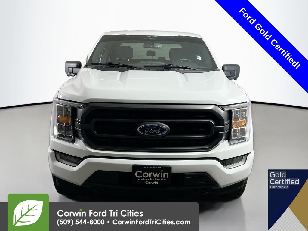 2023 Ford F-150 XLT photo 4