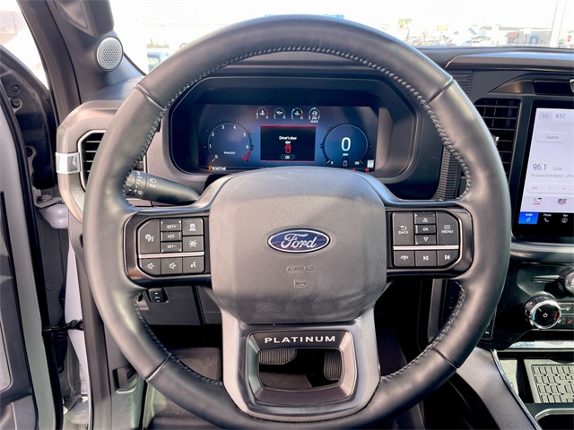 2024 Ford F-150 Platinum photo 7