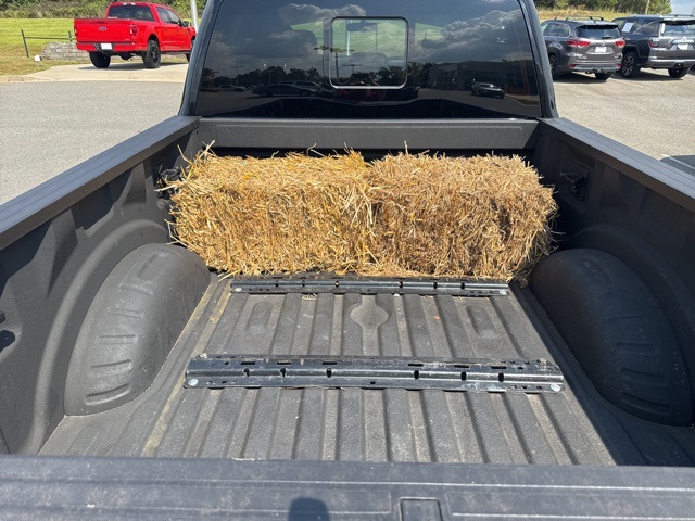 2020 Ford F-250 photo 3