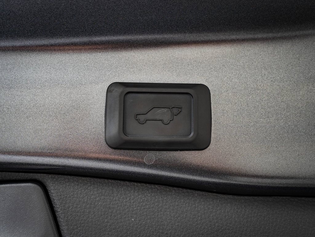 2025 Toyota RAV4 XLE Premium photo 17