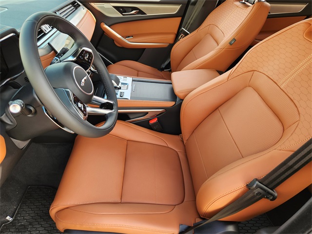 2026 Jaguar F-PACE P250 R-Dynamic S photo 12