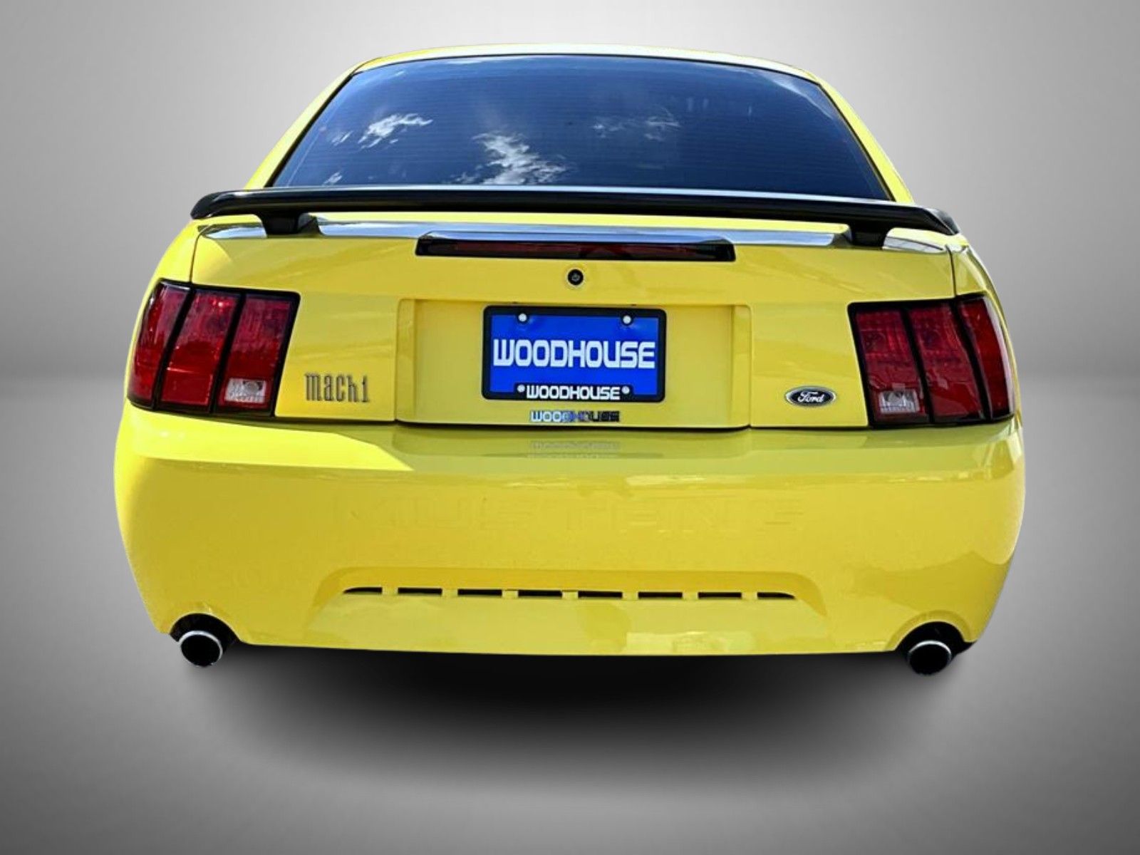 2003 Ford Mustang Mach 1 photo 6