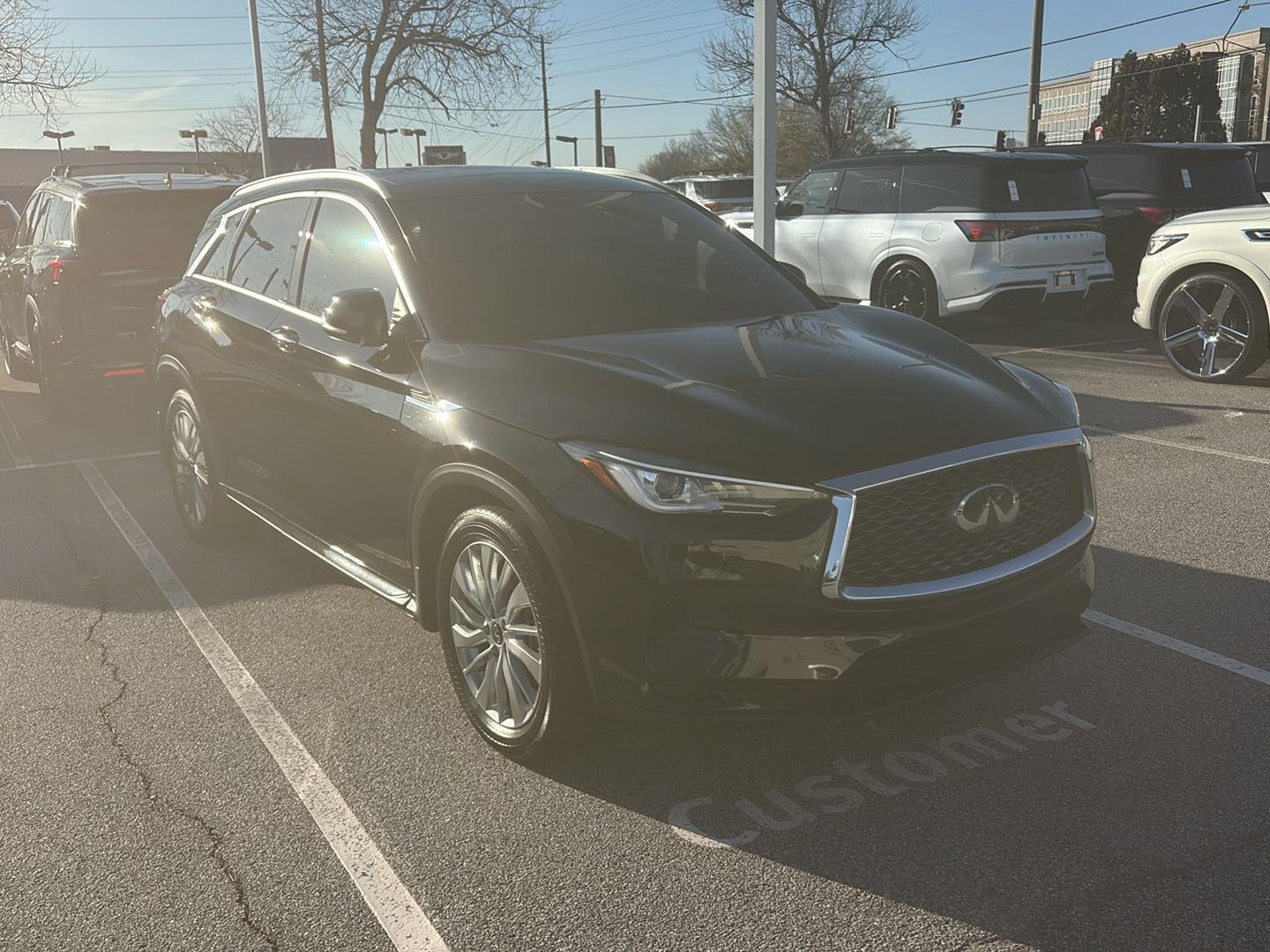 2024 INFINITI QX50 Luxe's photo