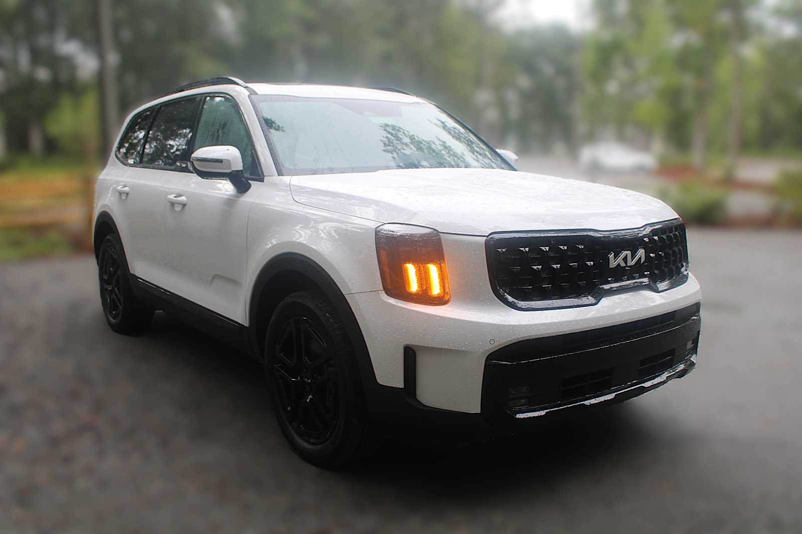 2025 Kia Telluride SX Prestige X-Line photo 15
