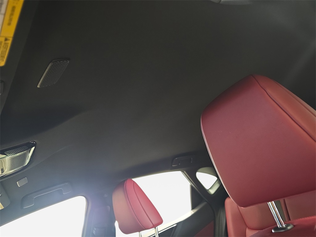 2022 Lexus NX 250 photo 30