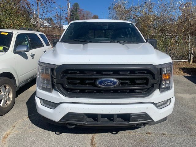 2023 Ford F-150 XLT photo 3