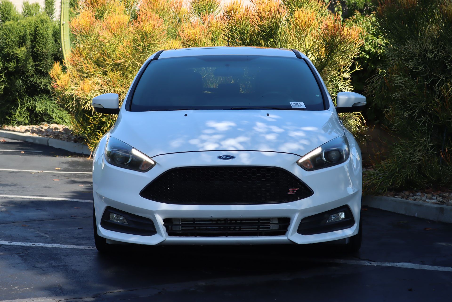 2015 Ford Focus ST photo 3