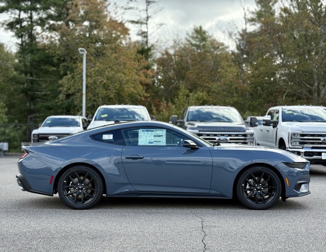 2025 Ford Mustang EcoBoost Premium photo 3