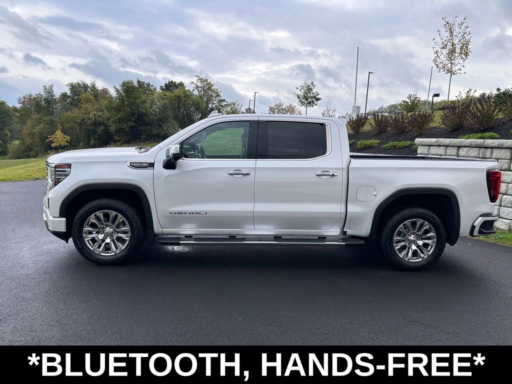 2023 Gmc Sierra 1500 Denali photo 4