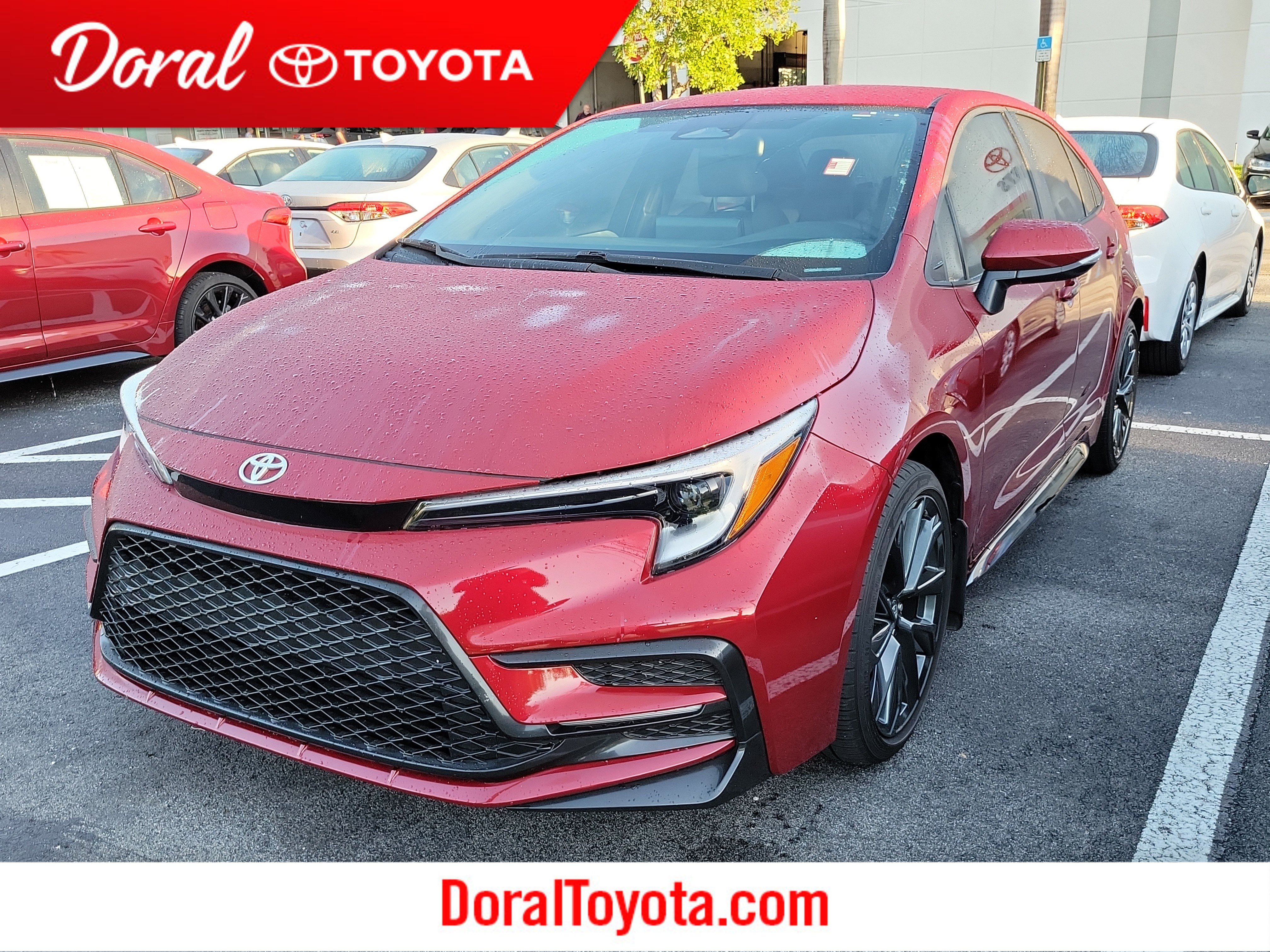 2024 Toyota Corolla