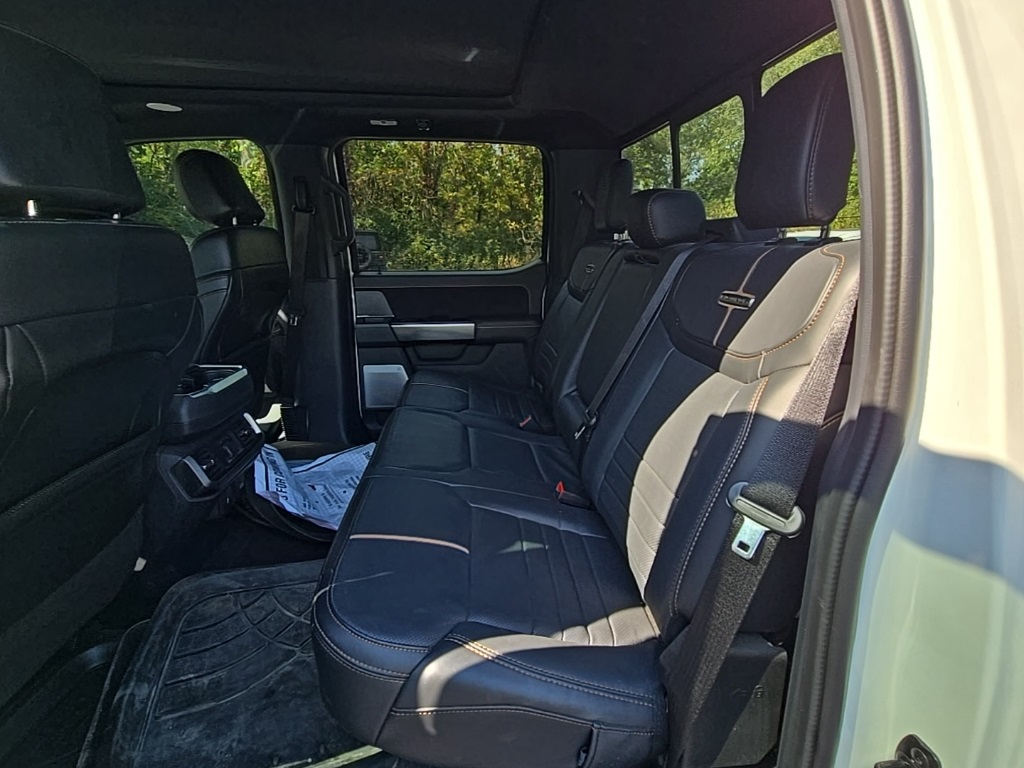 2023 Ford F-150 Platinum photo 17