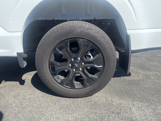 2023 Ford F-150 XLT photo 7
