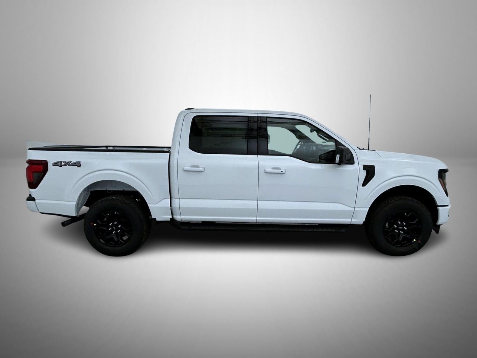 2025 Ford F-150 XLT photo 2