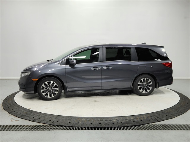 2024 Honda Odyssey EX-L photo 4
