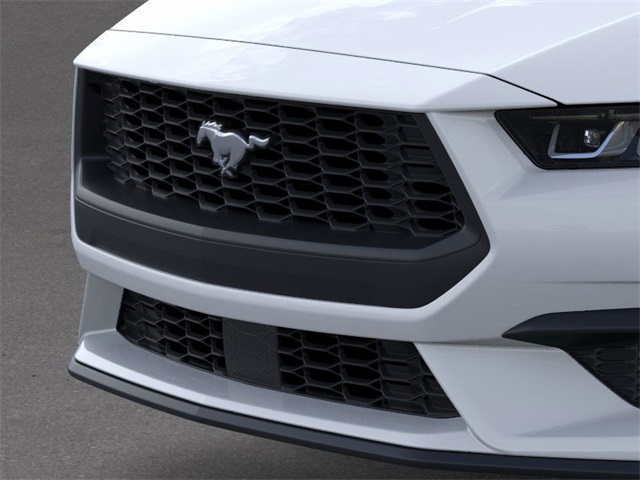 2025 Ford Mustang EcoBoost photo 15