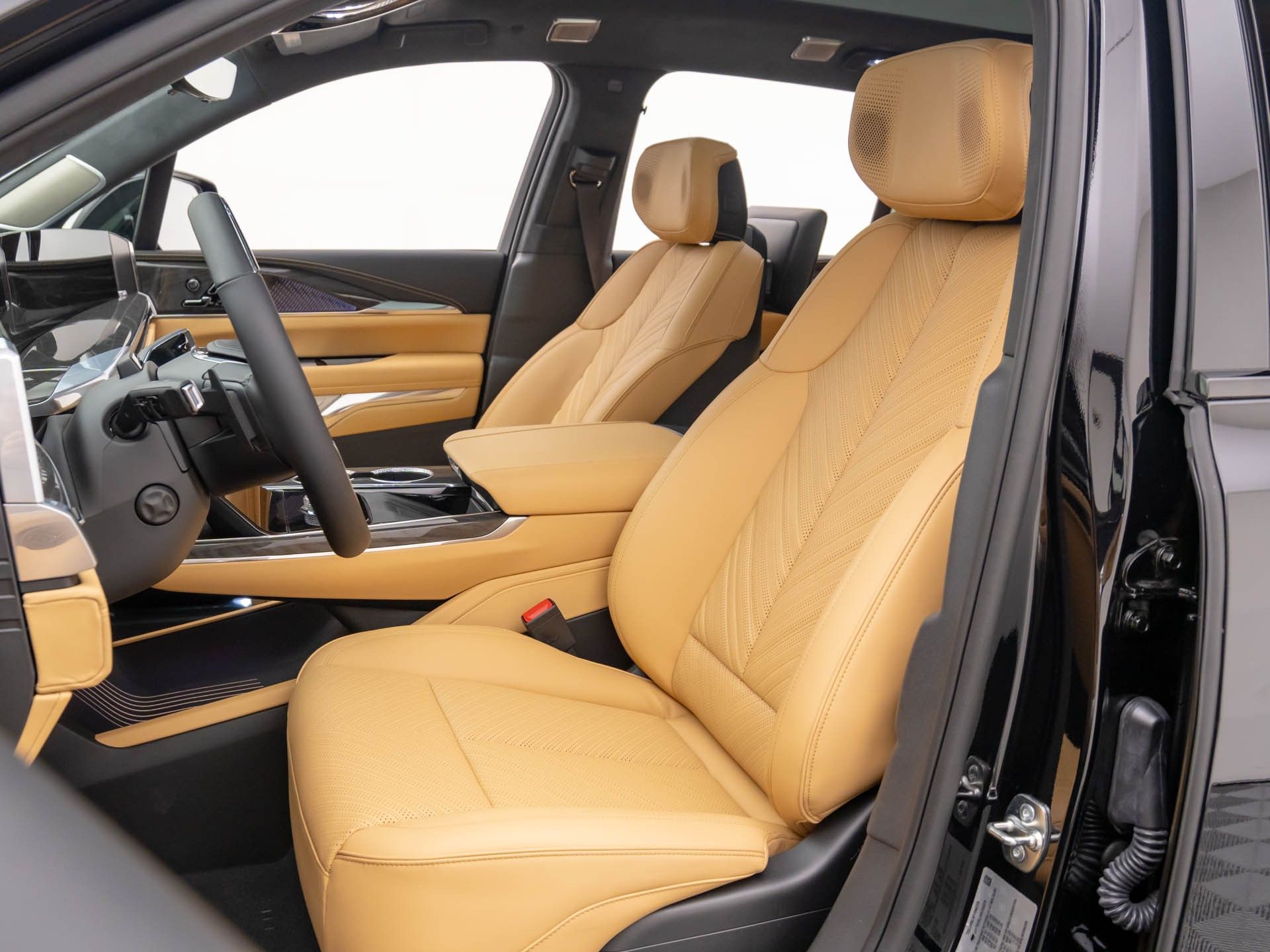 2025 Cadillac Escalade IQ Luxury photo 16