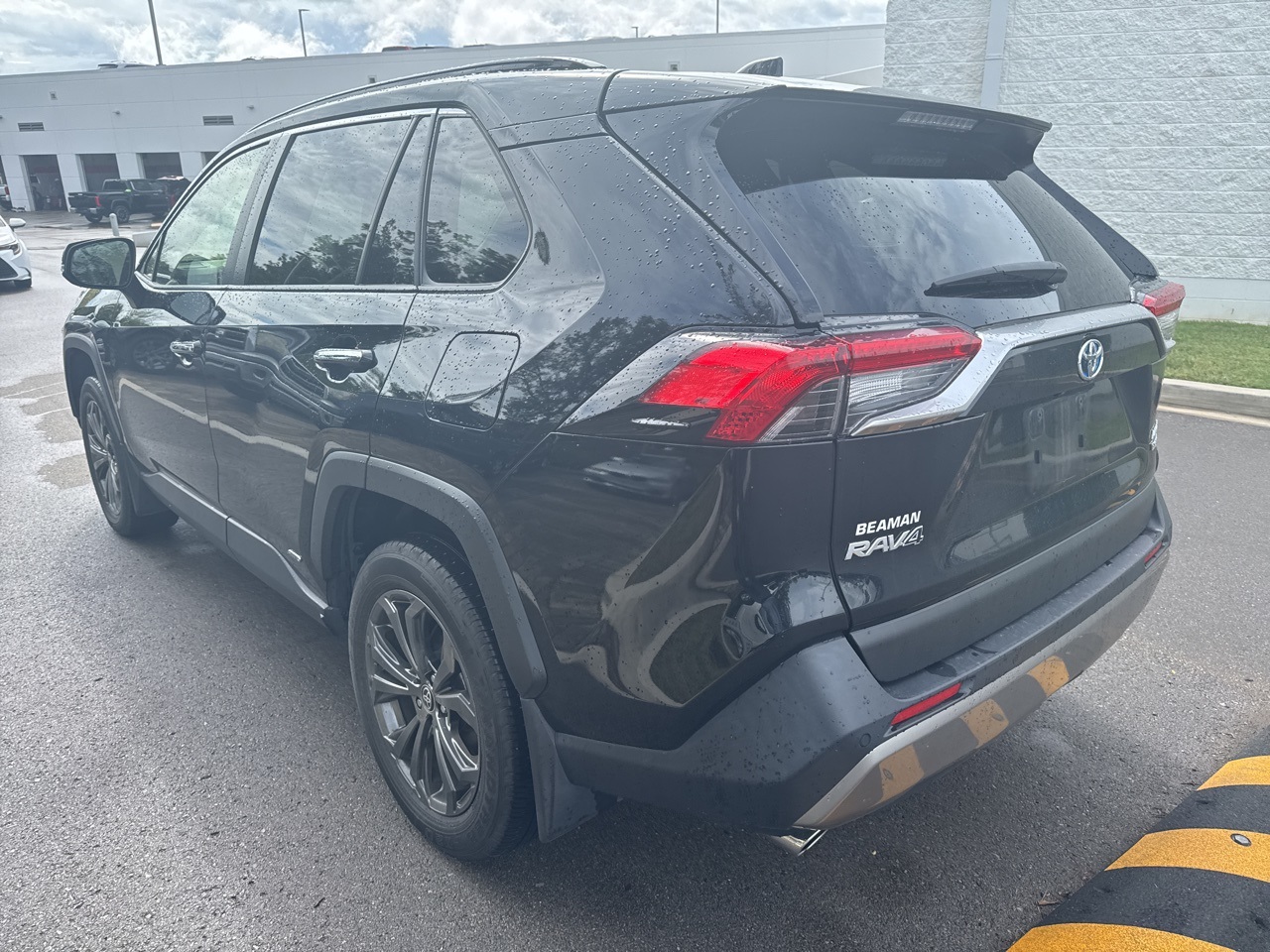 2022 Toyota RAV4 Hybrid Limited photo 3