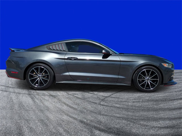 2015 Ford Mustang EcoBoost photo 2