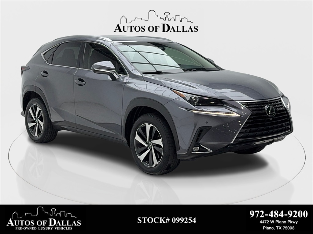 2018 Lexus NX 300's photo