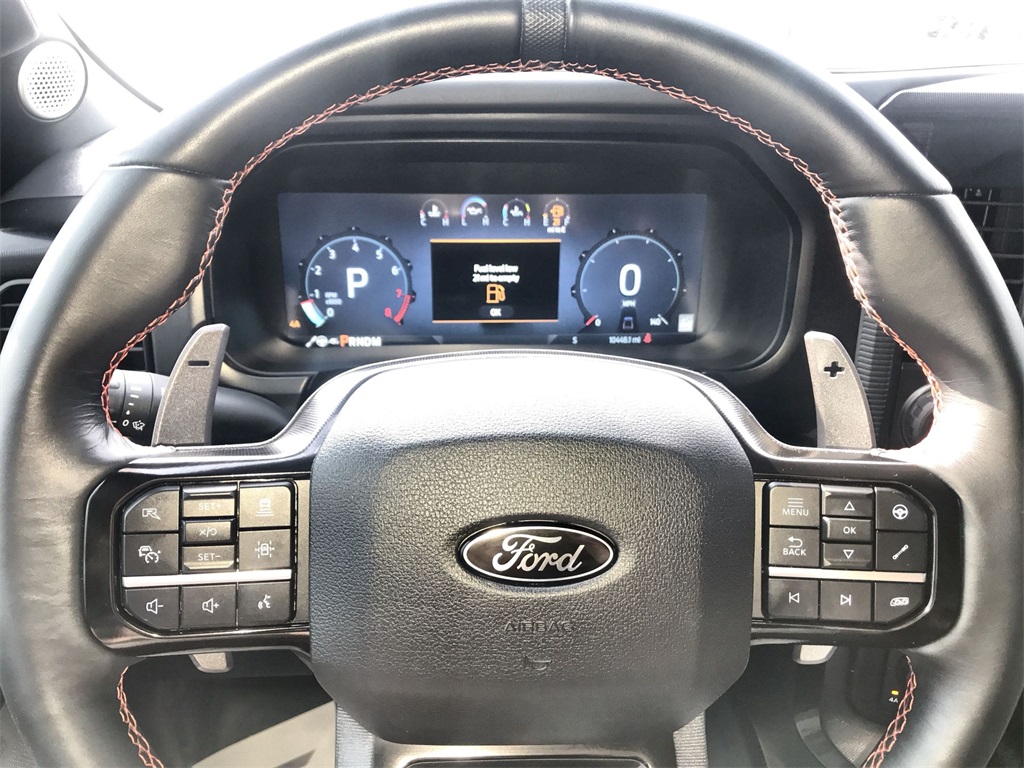 2024 Ford F-150 Raptor photo 14