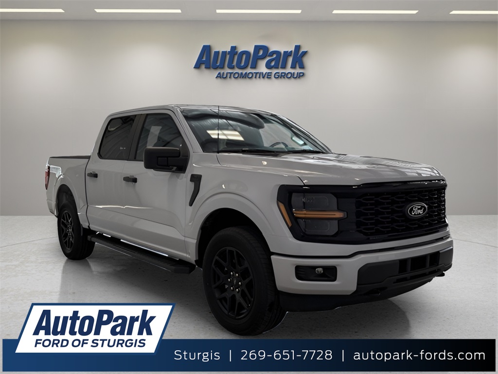 2025 Ford F-150 STX's photo
