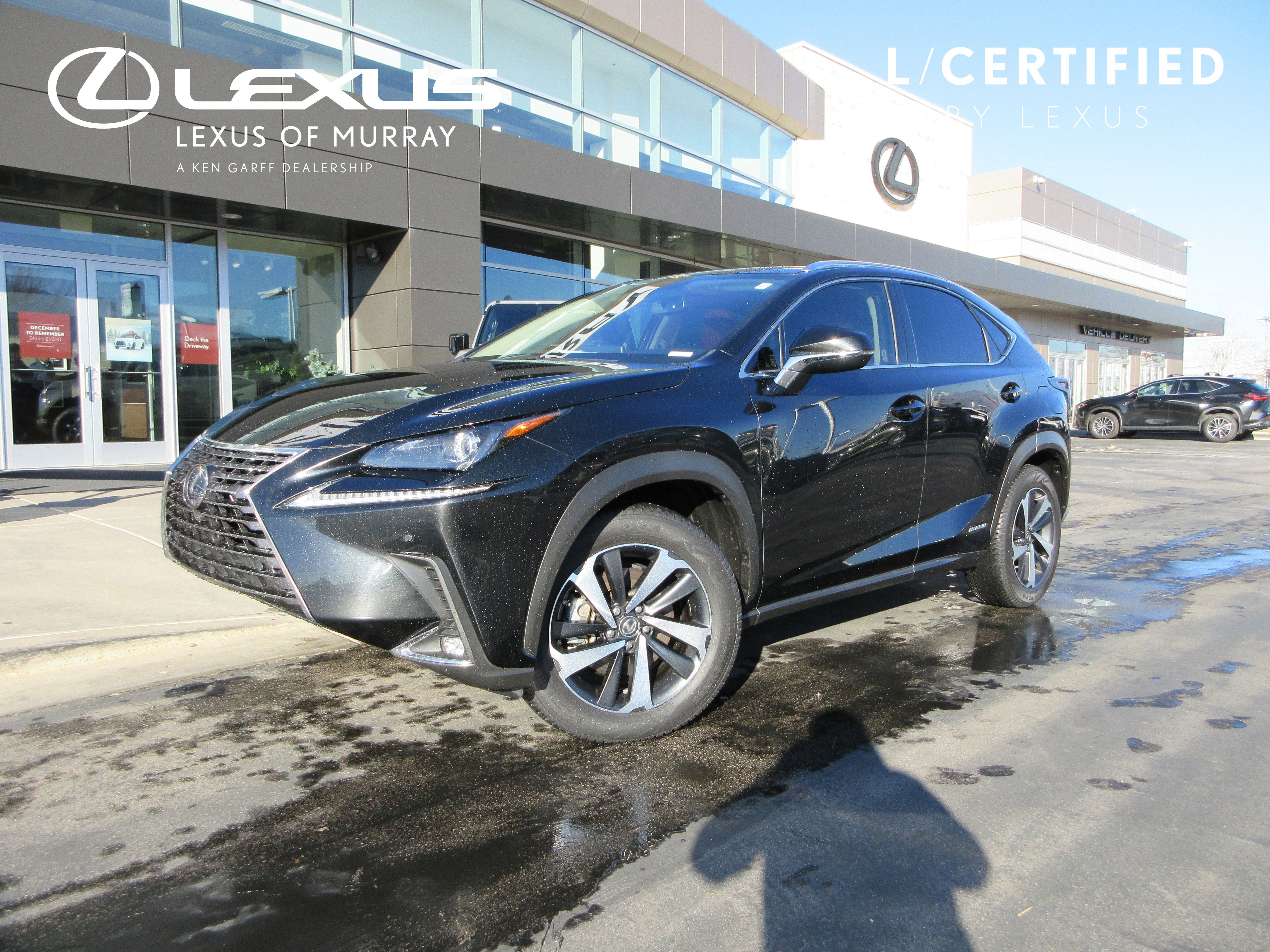 2021 Lexus NX Hybrid 300h's photo