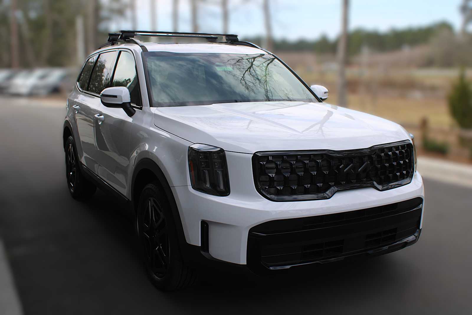 2025 Kia Telluride EX X-Line photo 14