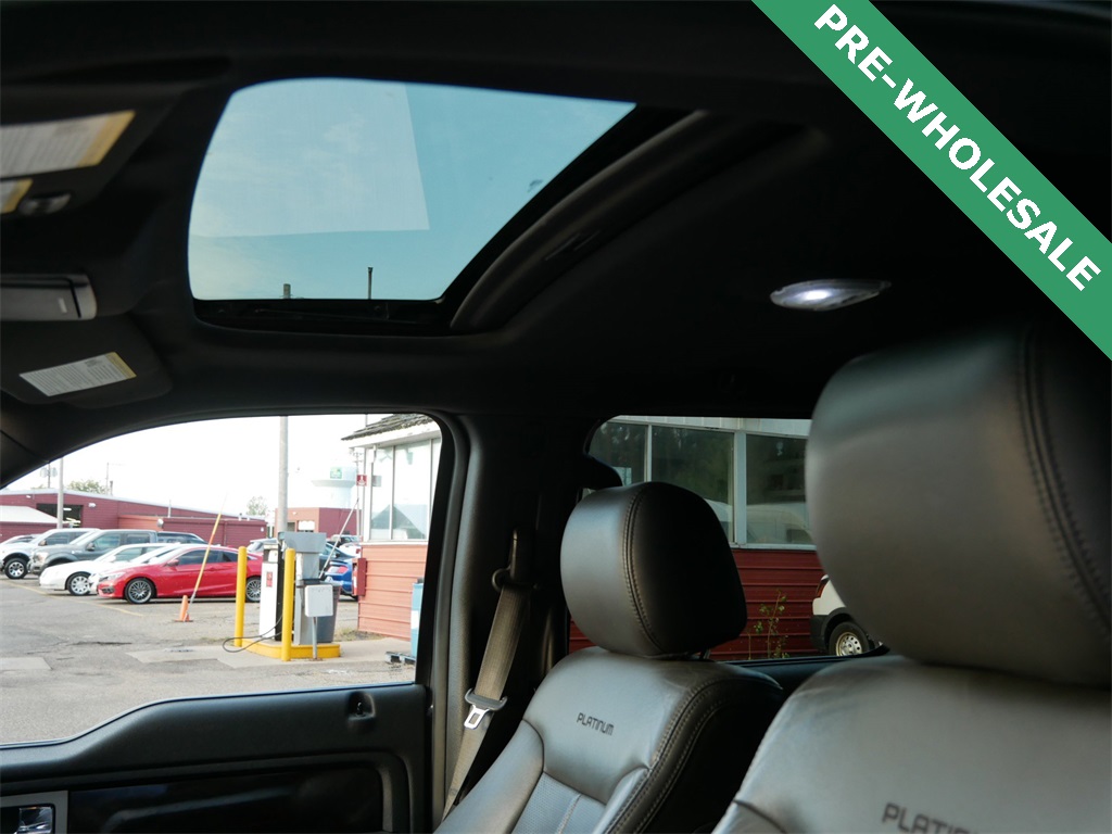 2013 Ford F-150 Platinum photo 15