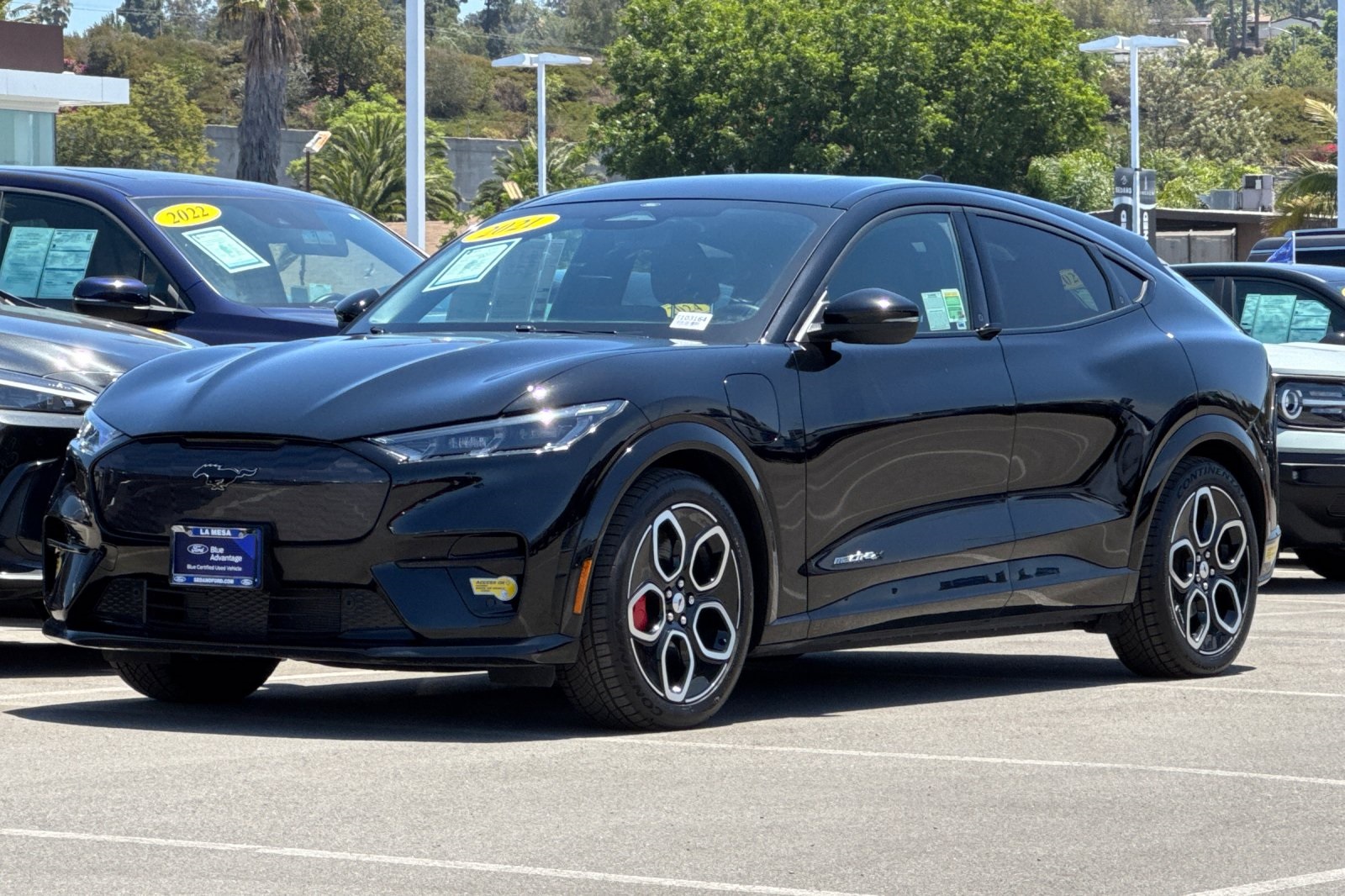 2021 Ford Mustang Mach-E GT photo 7