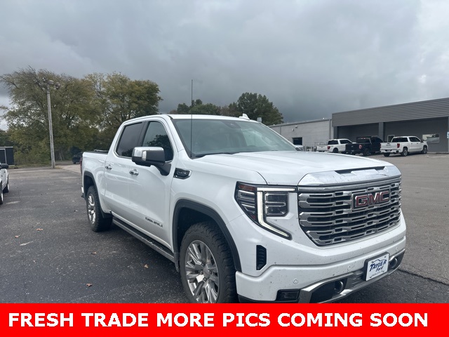 2022 Gmc Sierra 1500 Denali photo 3