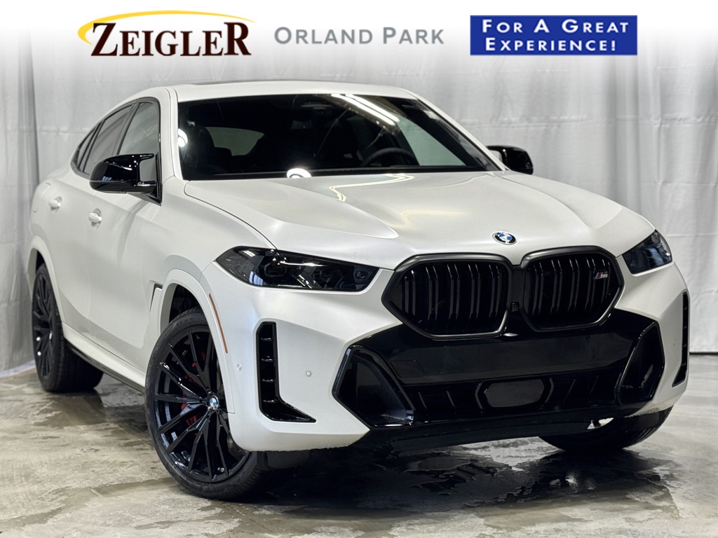 2026 BMW X6 M60i's photo