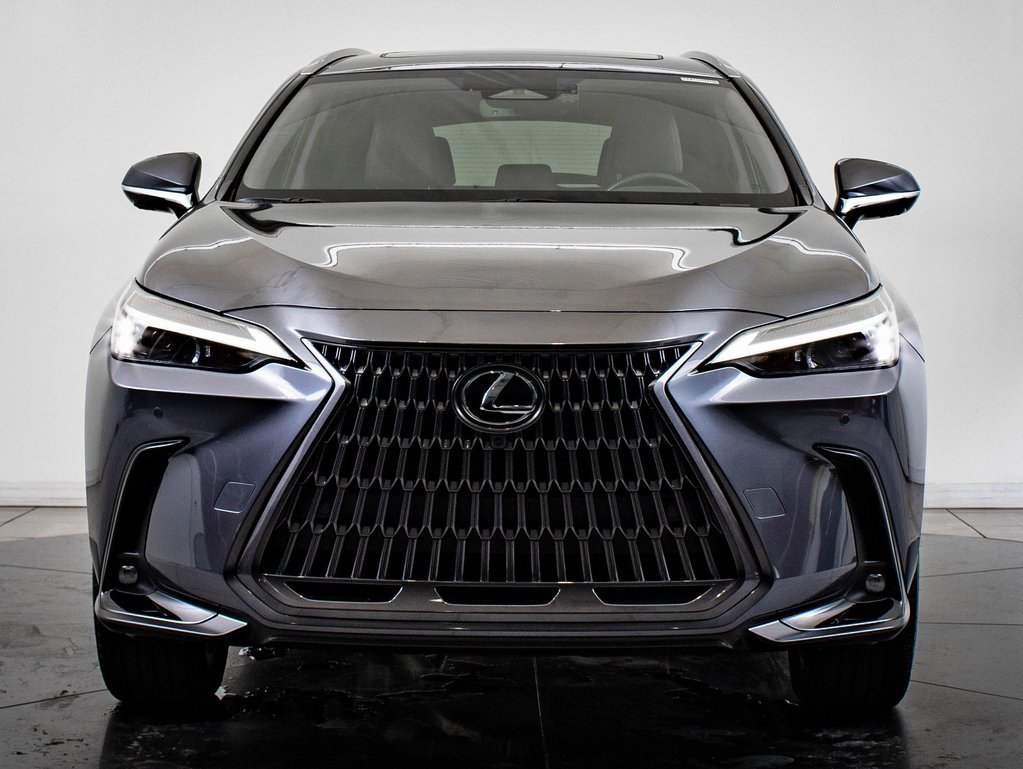 2025 Lexus NX 350h Premium photo 2