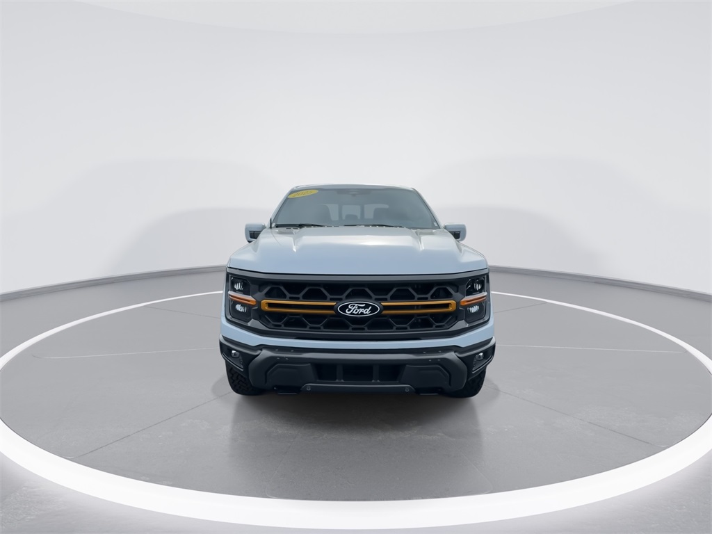 2025 Ford F-150 Tremor photo 3