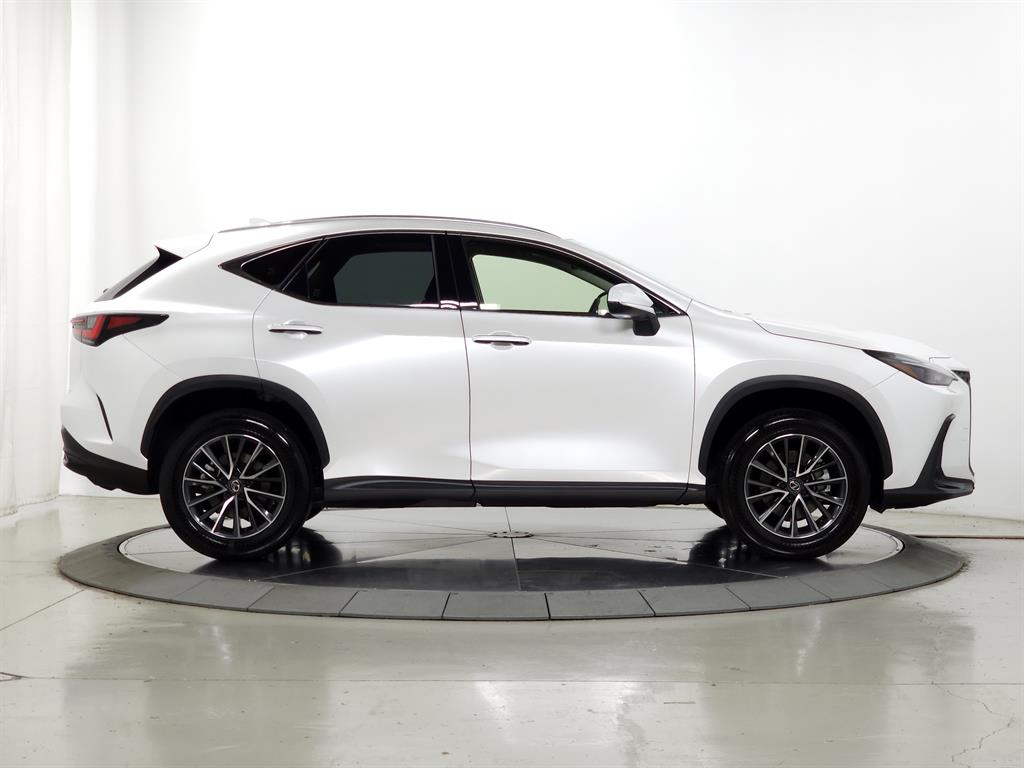 2024 Lexus NX 250 Premium photo 12