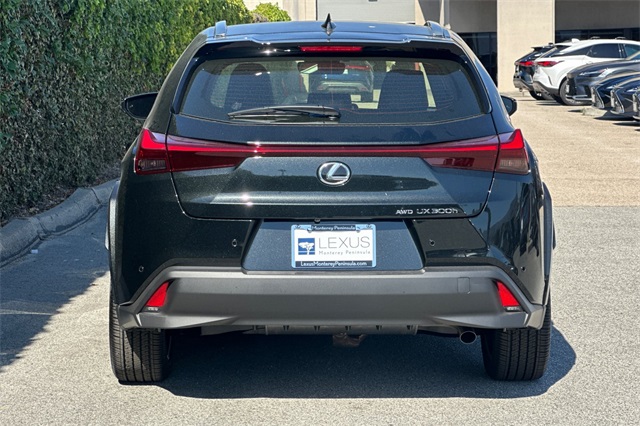 2025 Lexus UX Premium photo 6