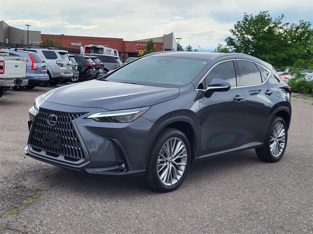 2024 Lexus NX 350h Luxury photo 8