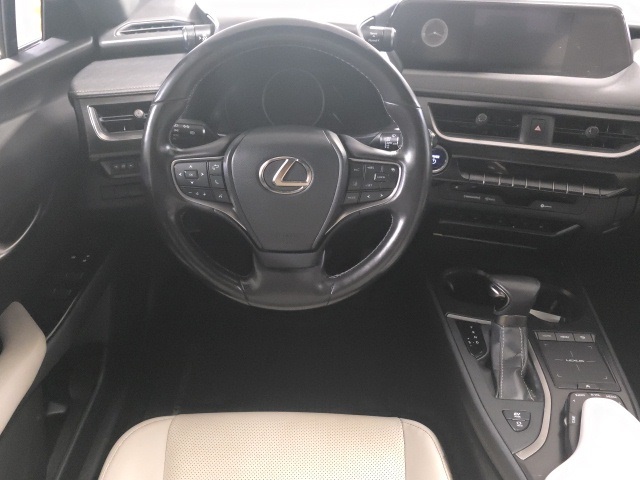 2022 Lexus UX 250h photo 10