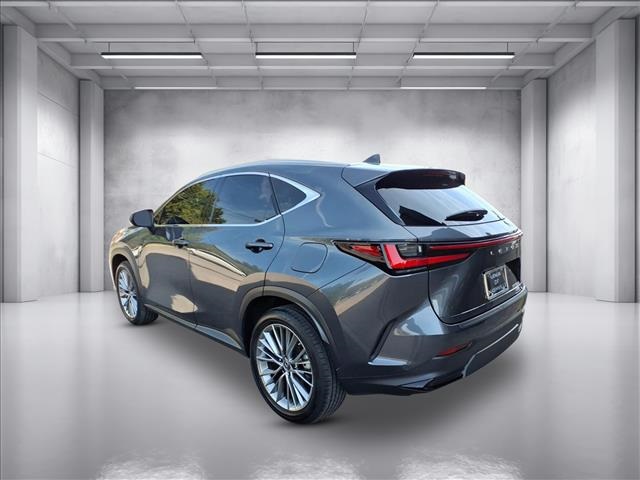 2023 Lexus NX 350h Luxury photo 4