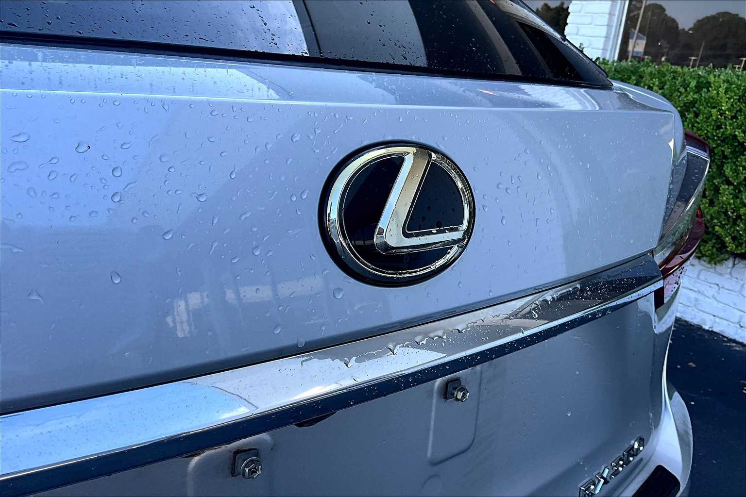 2017 Lexus RX photo 28