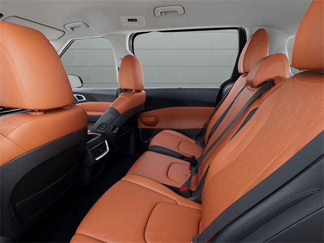 2026 Kia Carnival EX photo 14