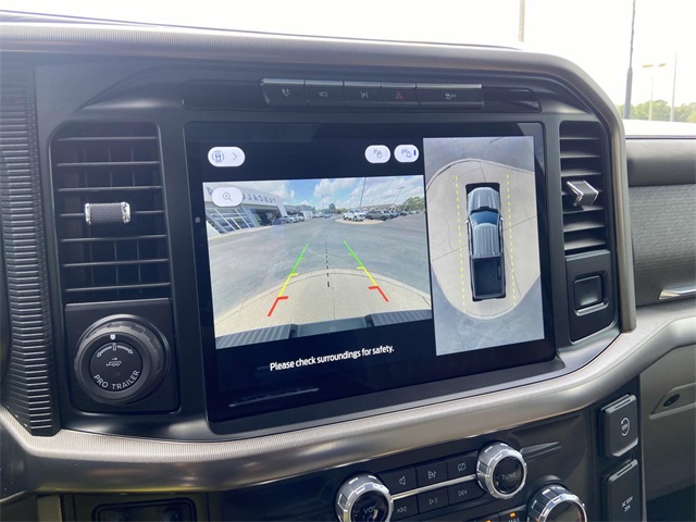 2024 Ford F-150 Platinum photo 14
