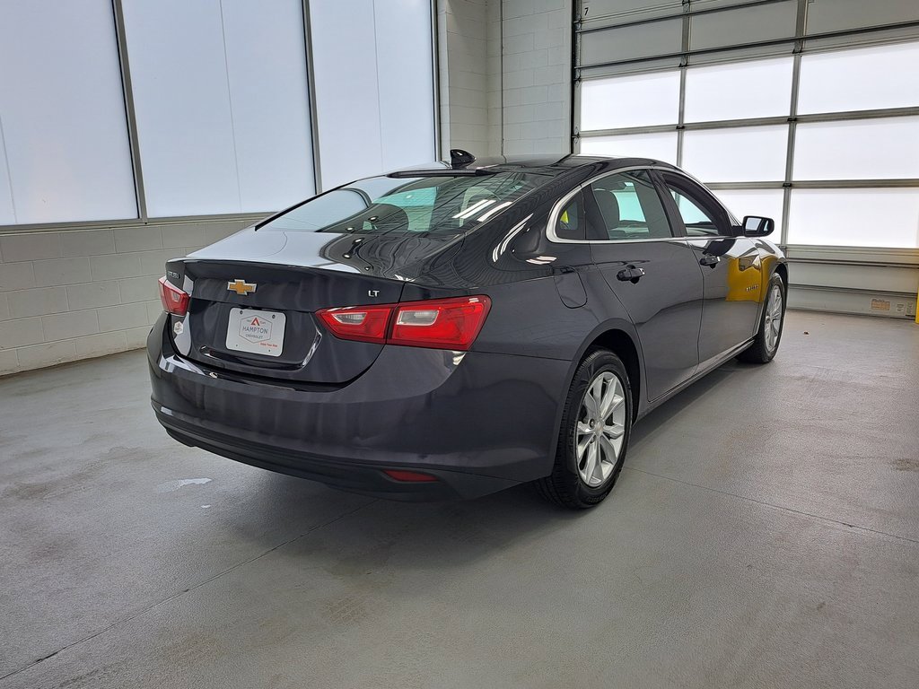 2023 Chevrolet Malibu 1LT photo 4