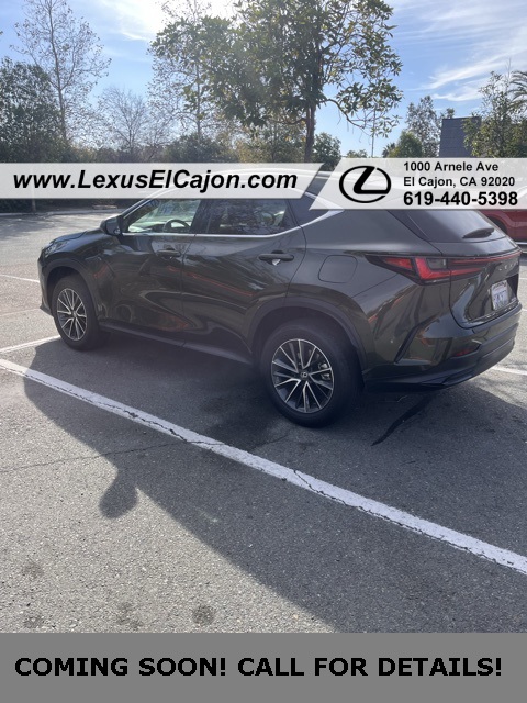 2025 Lexus NX 250's photo