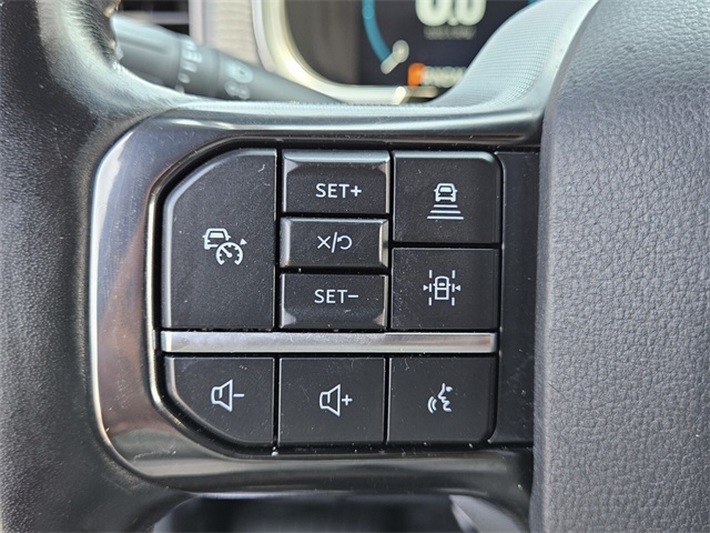 2021 Ford F-150 Platinum photo 30