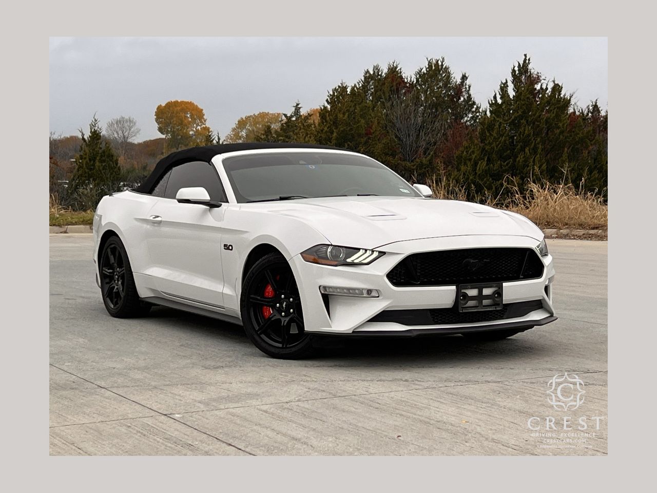 2019 Ford Mustang GT Premium's photo