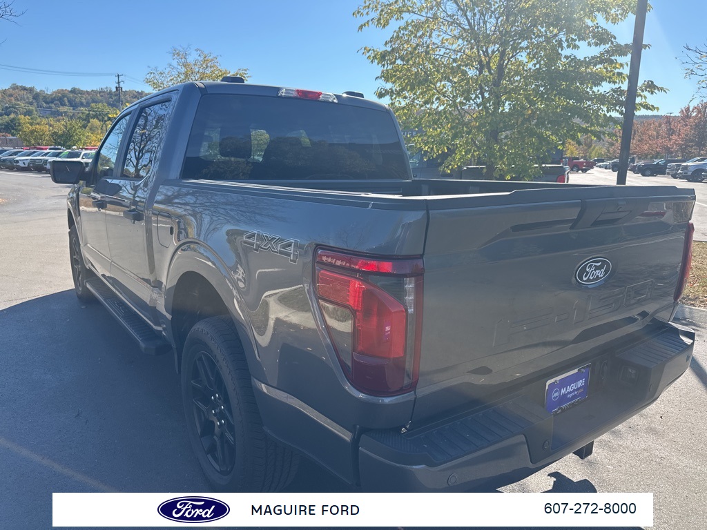 2025 Ford F-150 STX photo 6