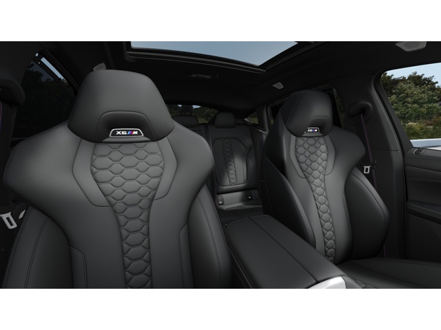 2026 Bmw X6 photo 10