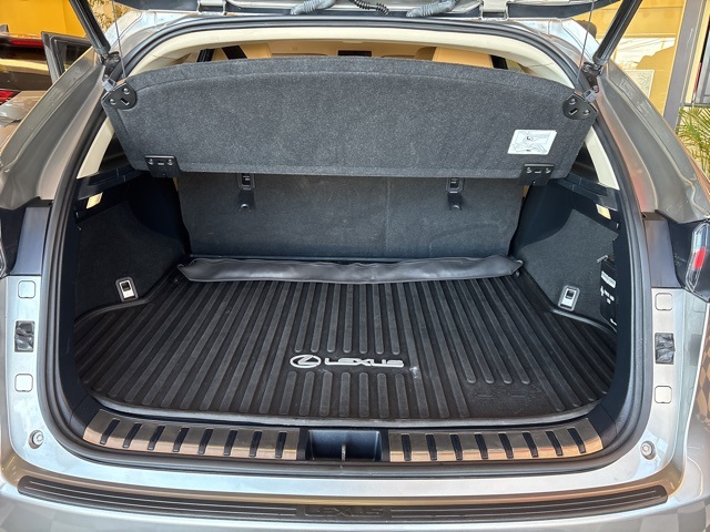 2021 Lexus NX 300 photo 2